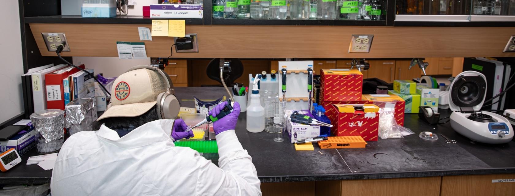 Grad student working in a lab