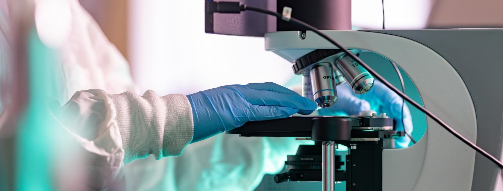 Close-up of hands on a microscope