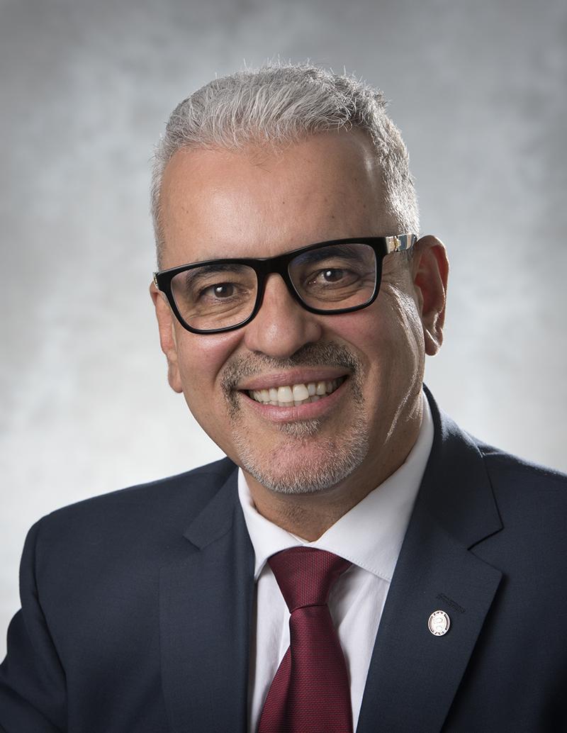 Moncef L. Nehdi