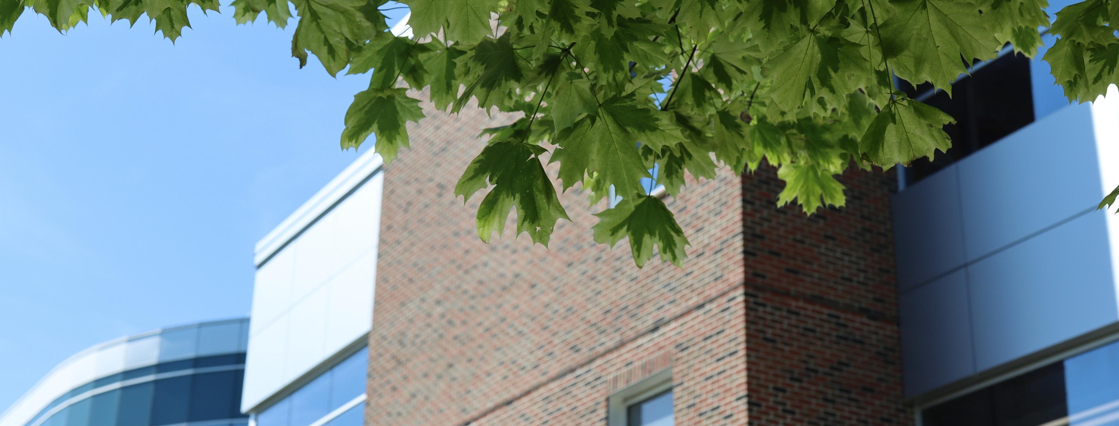 buildings on ovc campus