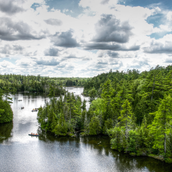 Forested river with small boats, surrounded by dense green trees under a cloudy sky.