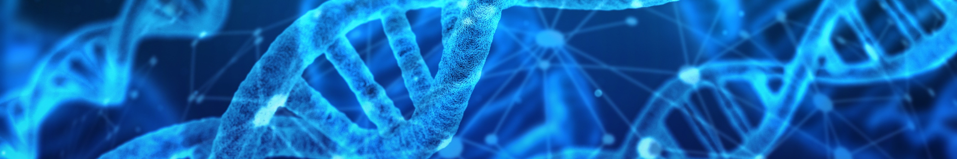 DNA strands in blue fluorescence 