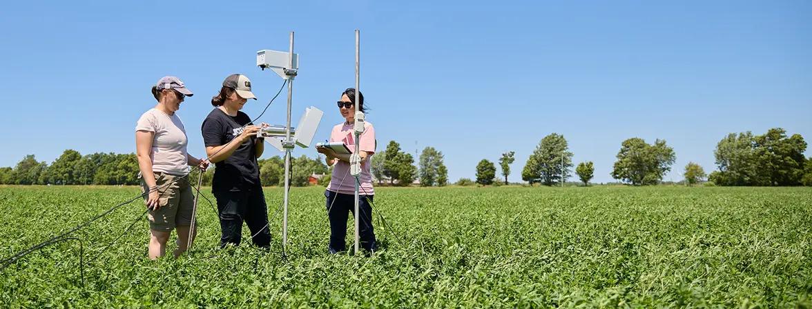 people standing in field