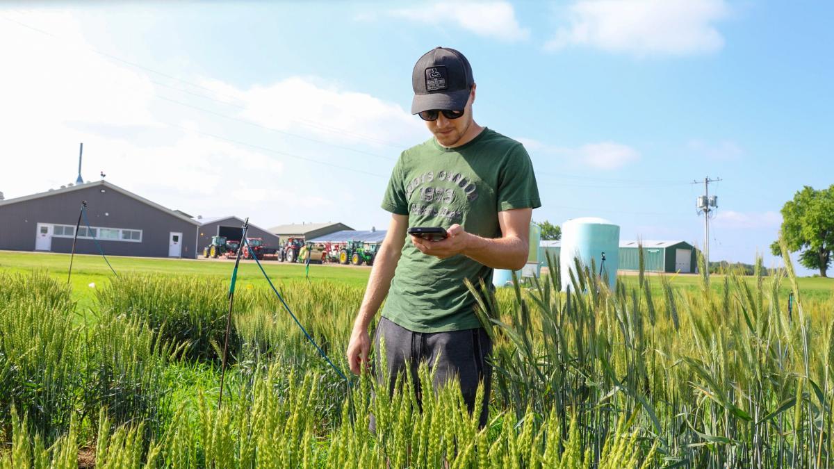 Riley McConachie standing in a field looking at a phone