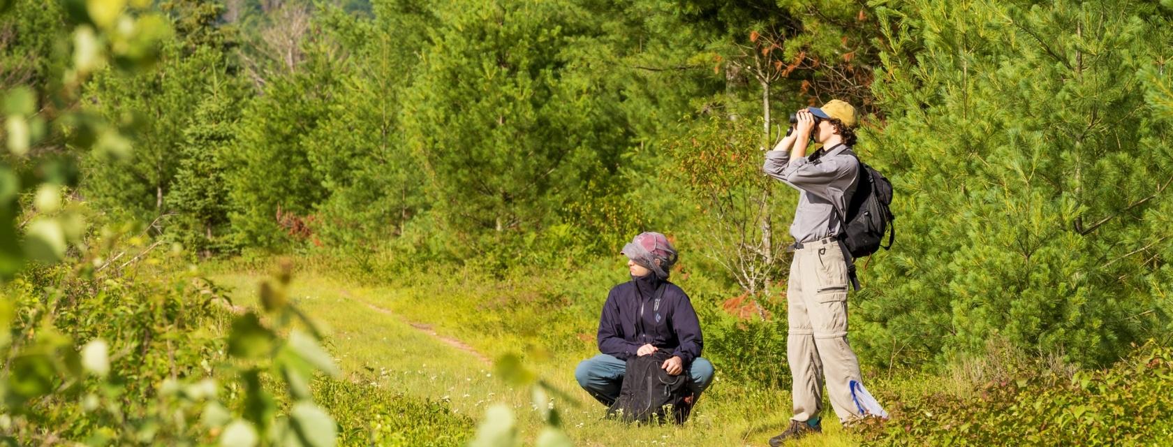 Students on a path in Algonquin park
