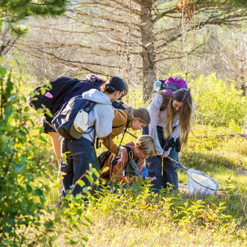 Students on the Algonquin field course