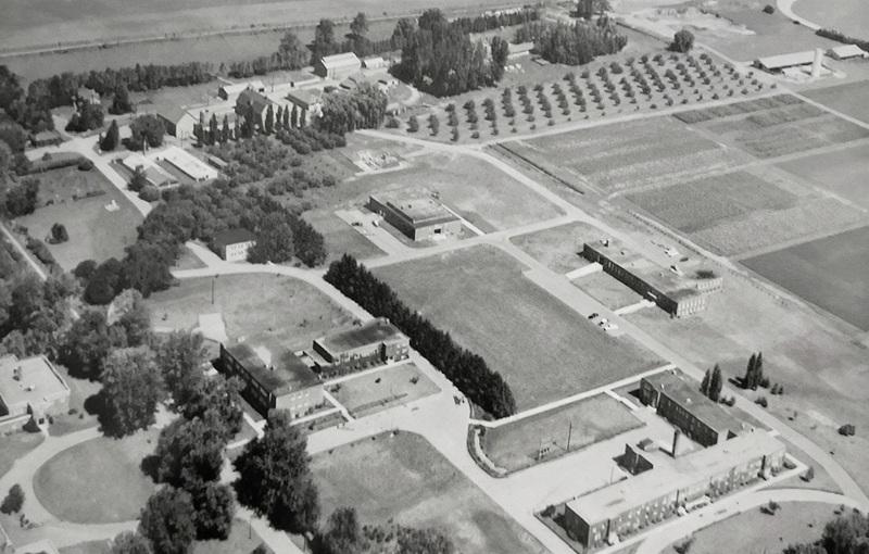 Black and white aerial photo of Ridgetown Campus from 1960s.