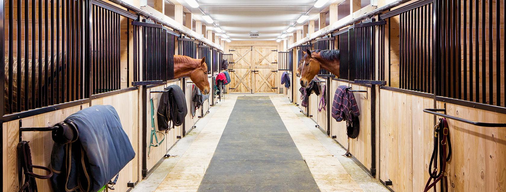 Horse barn interior with horses in stalls.