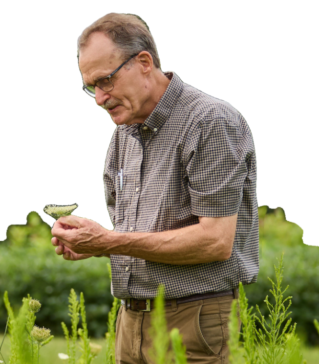 Man standing in a green field looking down at a plant in his hands. 