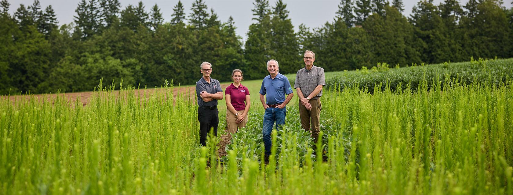 Four people are standing in a green field with tall plants, surrounded by trees in the background. They are facing the camera, appearing relaxed and casual. 