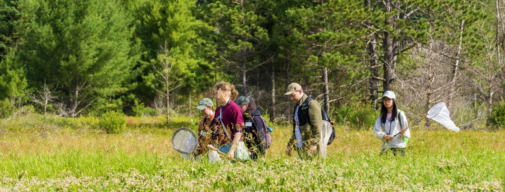 Students walking in Algonquin Provincial Park with insect nets