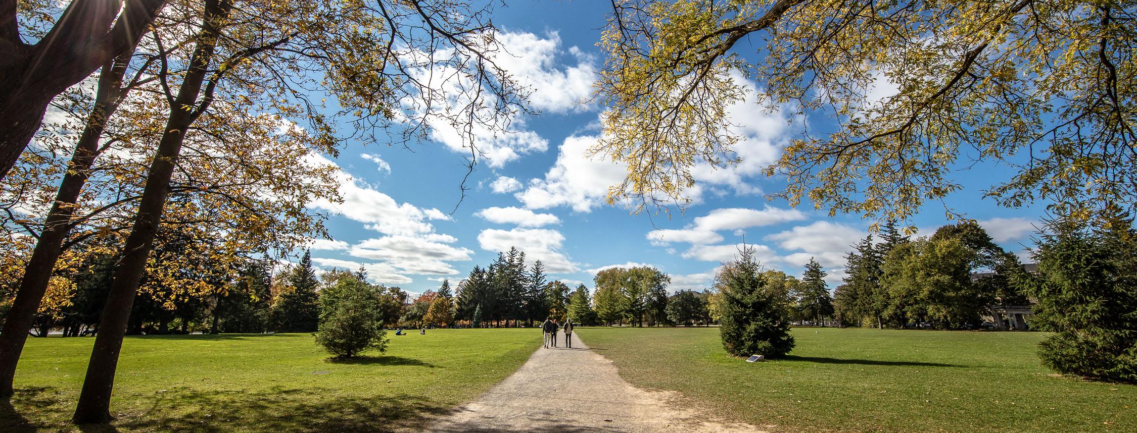 Path along Johnston Green