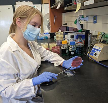 OVC Masters student Nikola May in the lab 
