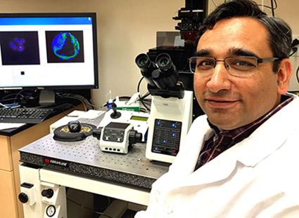 Dr. Pavneesh Madan, Ontario Veterinary College, University of Guelph