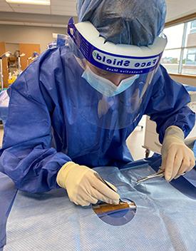 Student veterinarian at the Ontario Veterinary College practicing clinical skills with a simulated model. 