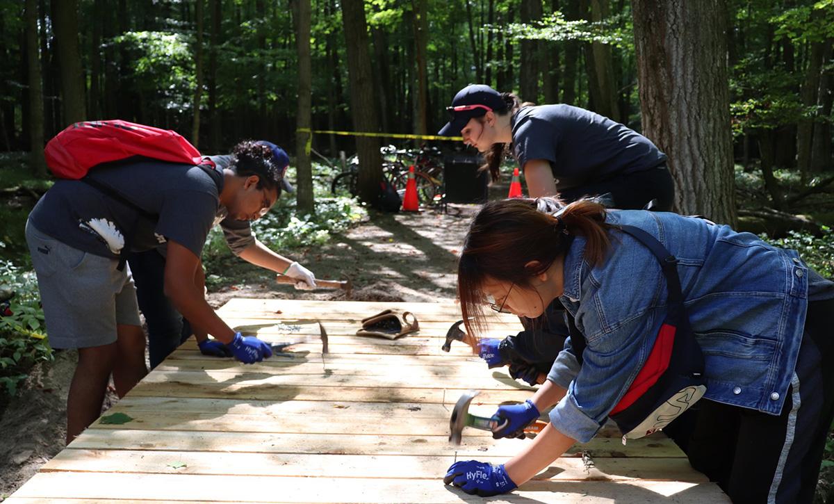 Project Serve 2019