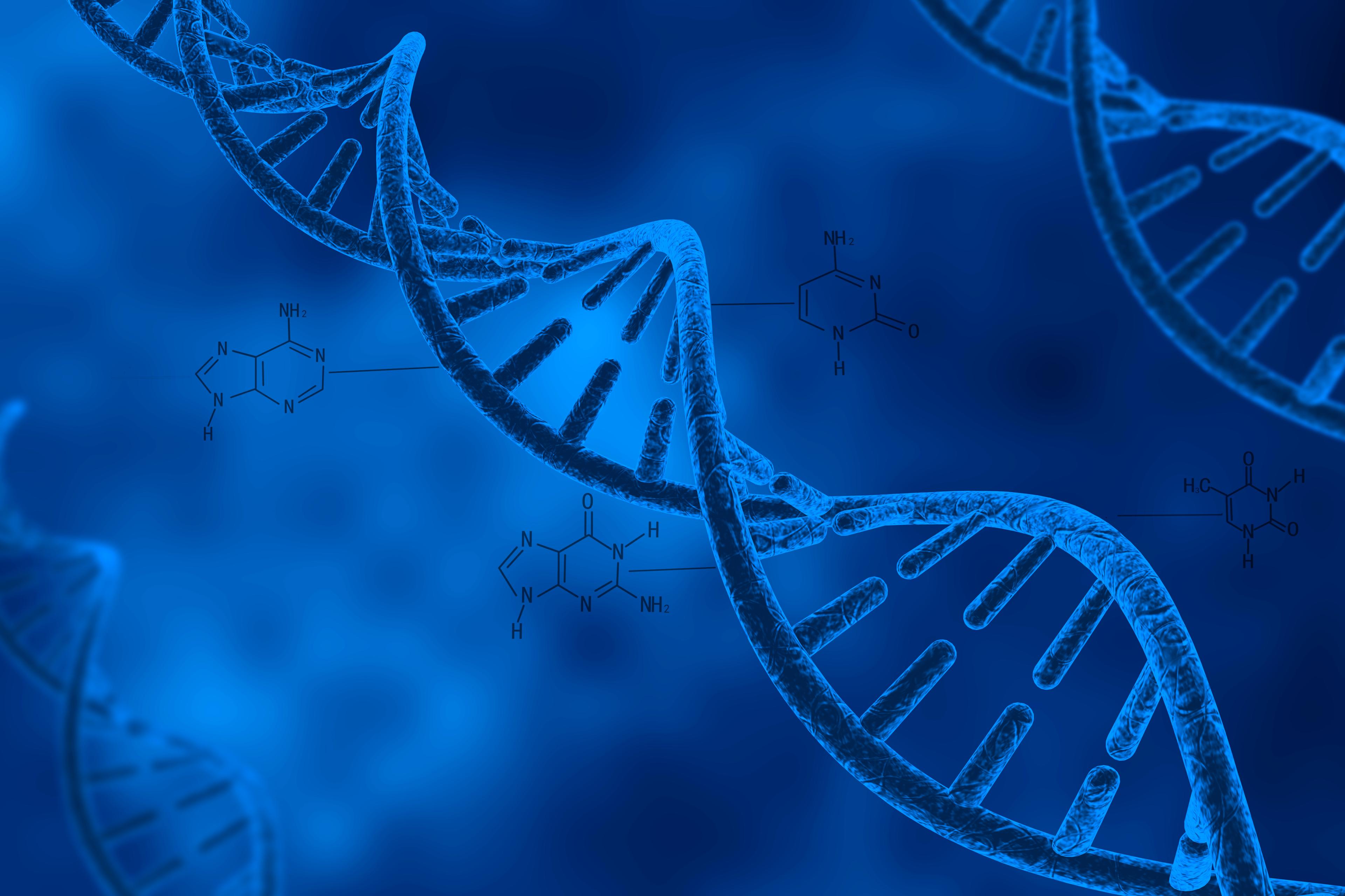 DNA illustration (iStock credit_feellife)