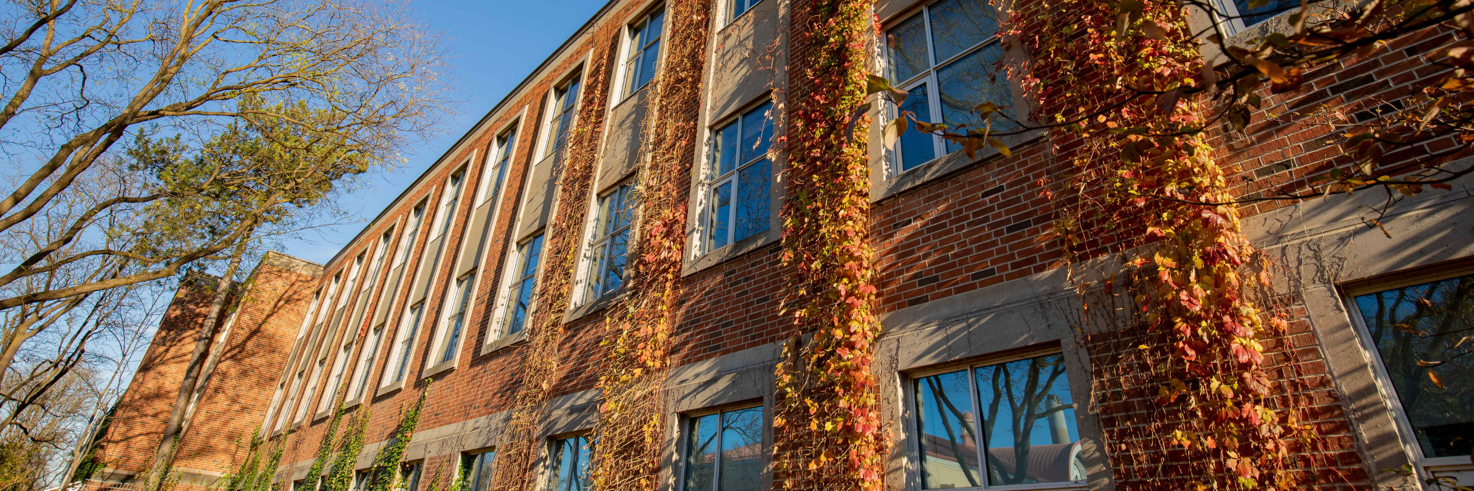 Leaves changing colours on a campus building