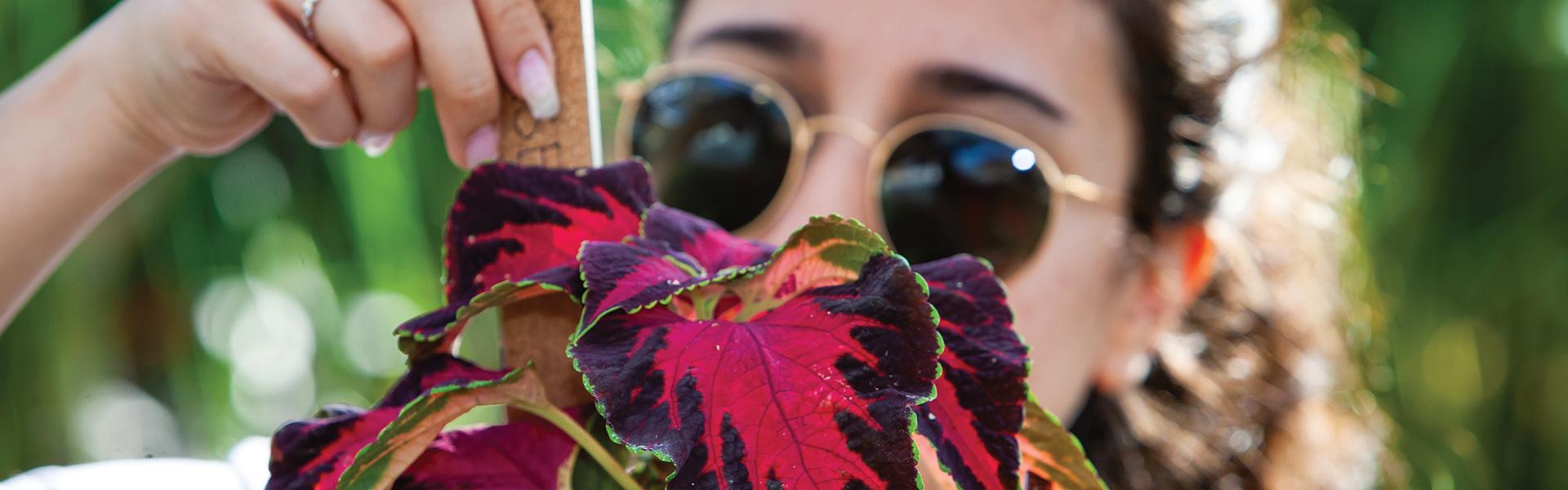 Horticulture Major