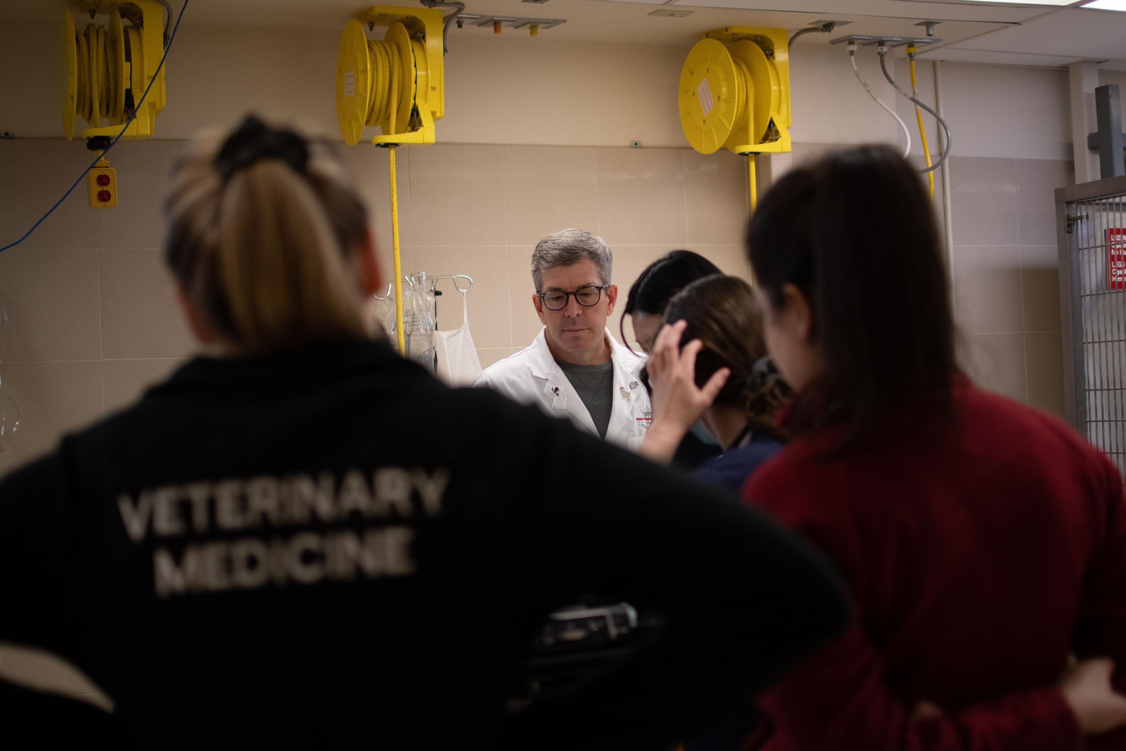 Veterinary Students watching intently as Professor Demonstrates.