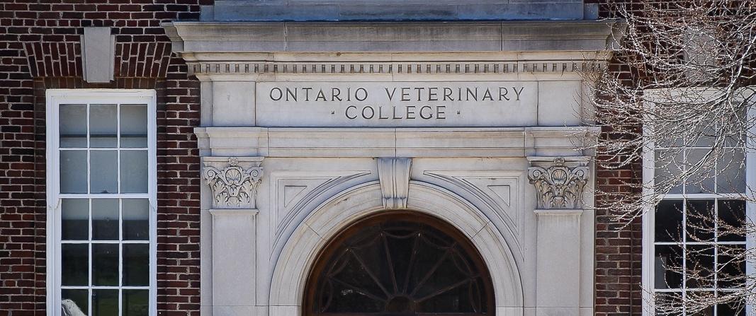 Stone sign above Ontario Veterinary College main entrance (College's Name)