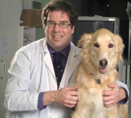 J. Paul Woods head shot