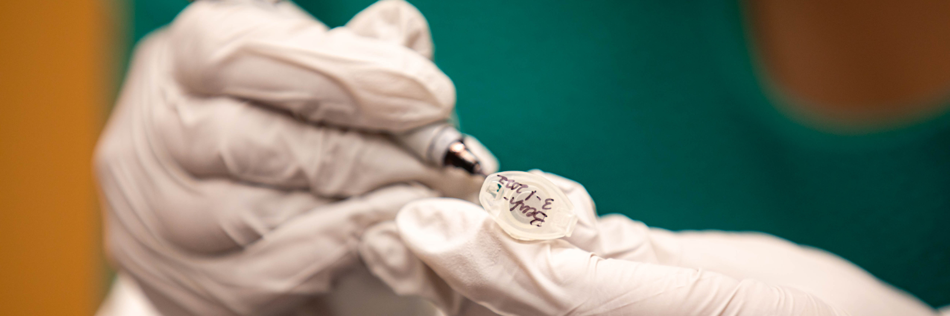 Banner image for bioinformatics page