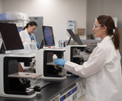 Dr. Lepage observing human stem cells on the Echo Rebel microscope equipped with an iPad for teaching purposes