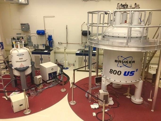 800 MHz Bruker Avance III NMR
