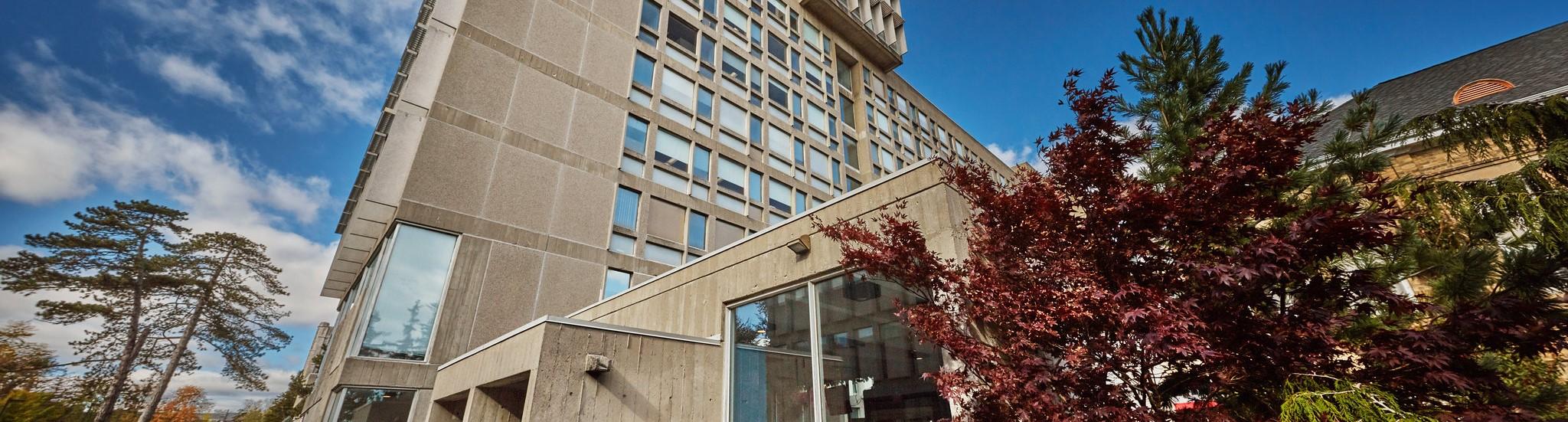 Mackinnon against a clear sky, surrounded by lush green bushes.