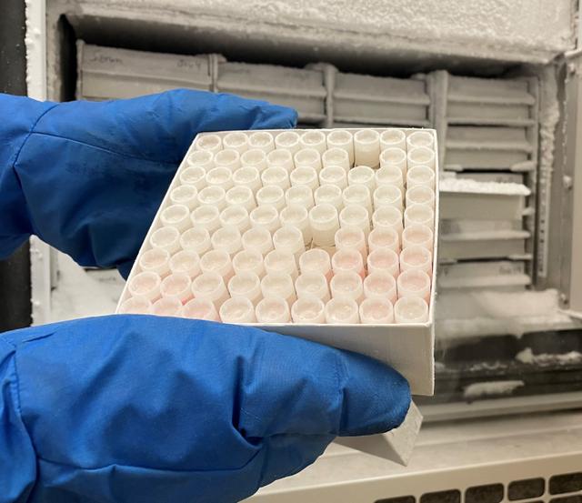A close-up of a person wearing blue gloves holding a tray of sample collection tubes in front of a freezer