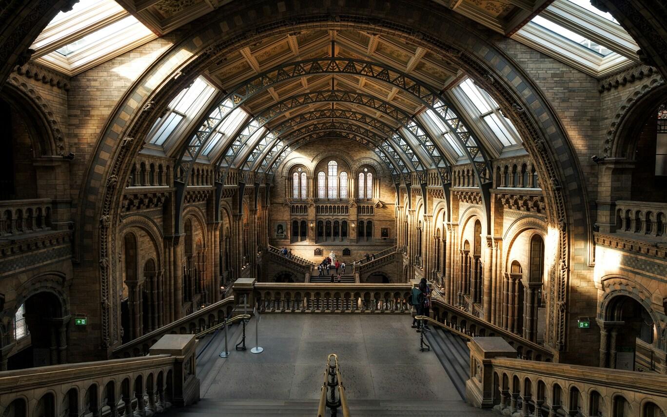 A glimpse of the Natural History Museum in London, highlighting its impressive architecture and historical significance.