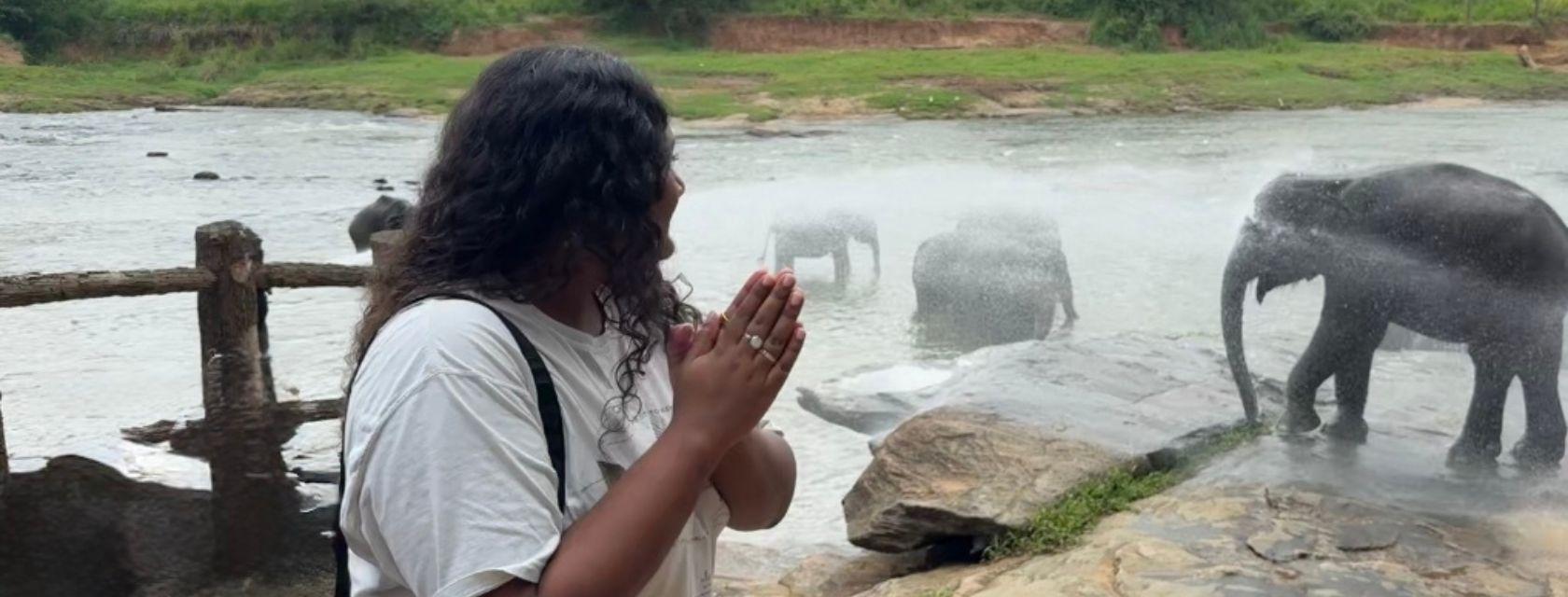 Grad stands by a river with baby elephants in it.