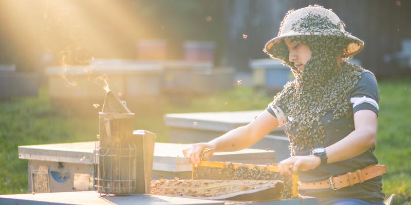 A female beekeeper sitting with a bees around her hate, neck, chest and shoulders