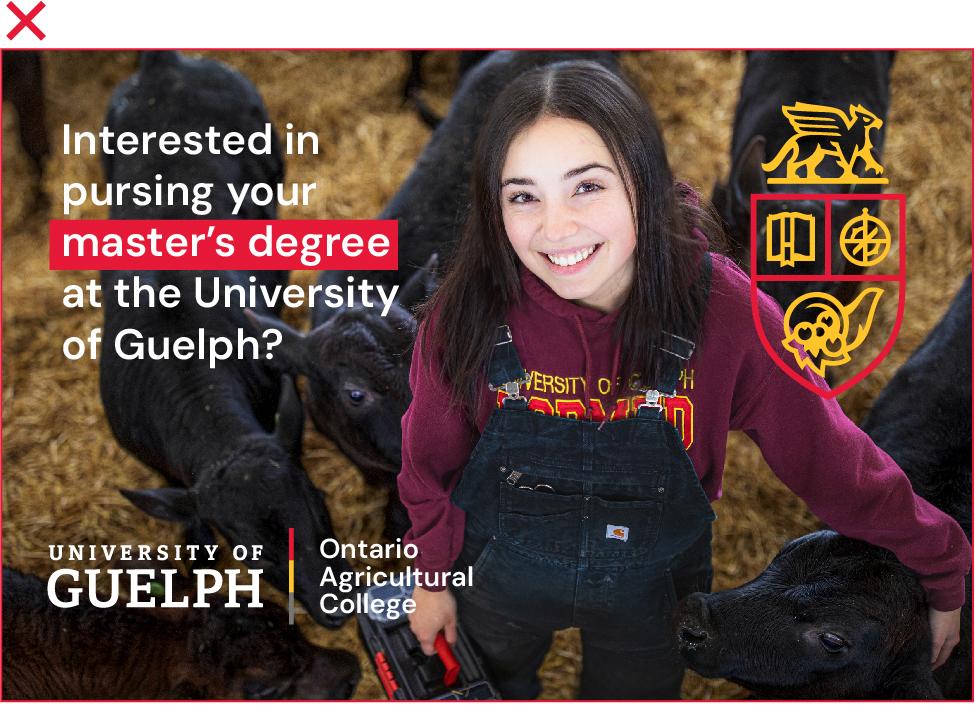 Student smiling at the camera while surrounded by cows, but the image is crowded with multiple logos and graphic elements.