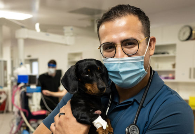 man and dog in hospital
