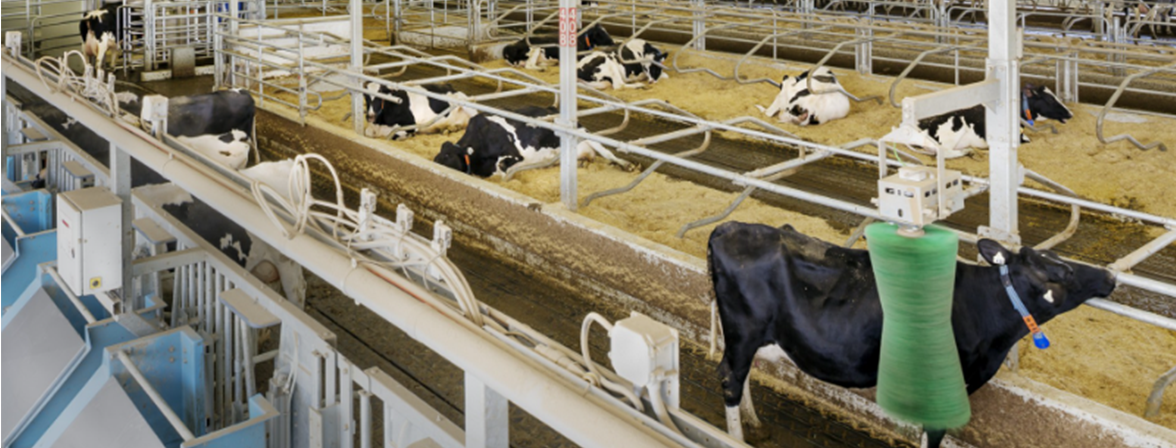 the elora dairy research centre in action