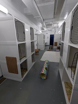 Crates stacked on one another in a room filled with cat toys