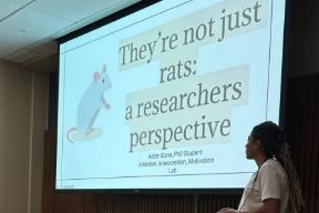 They're not just rats: a researchers perspective