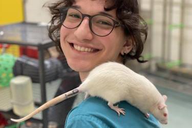 A white rat sitting on a persons shoulder