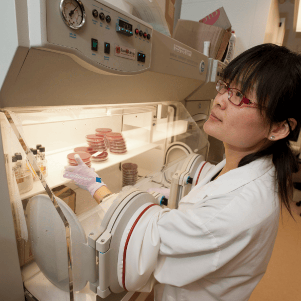 MBS in Pathobiology