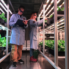 Two scientists in lab coats work in a plant research lab, one examining plants under artificial lighting and the other taking notes in a high-tech facility focused on plant growth studies.