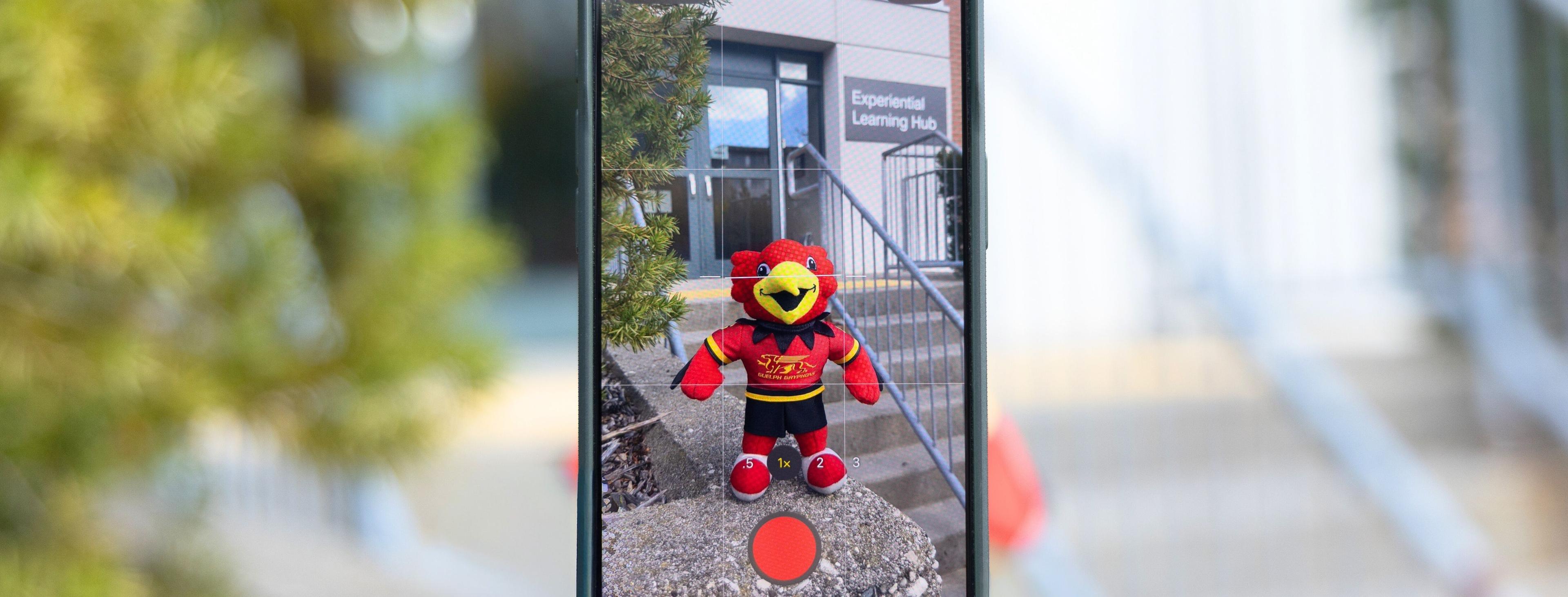 A photo of a phone filming an instagram reel of the Gryphon stuffed toy, standing on a ledge in front of the Experiential Learning Hub entrance.