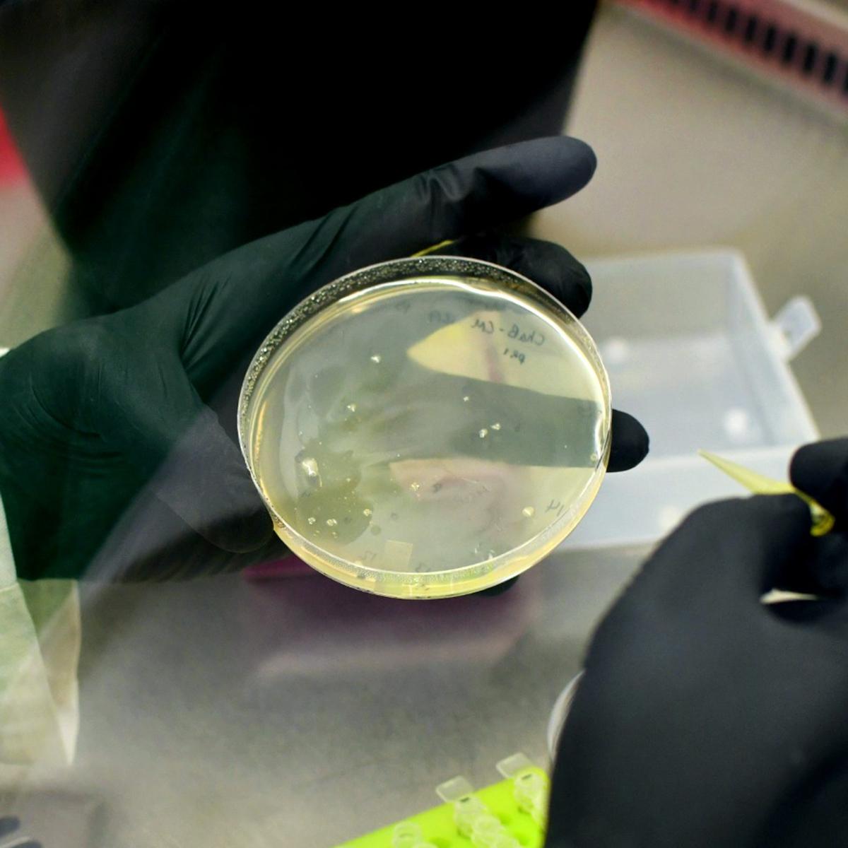 Researcher holding a glass container