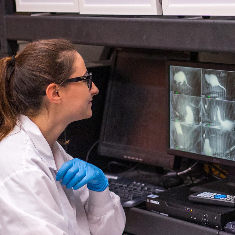 A woman looking at a screen with multiple images of bones