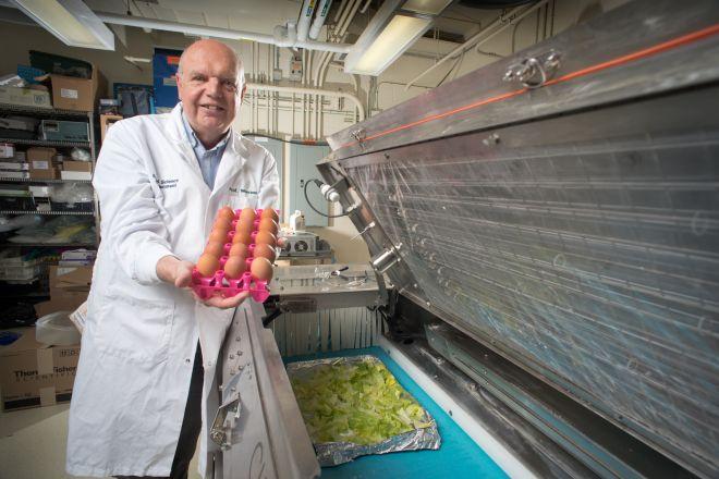 Keith in the lab with a long, coffin-shaped metal Cleanworks machine, wearing a labcoat and holding a tray of raw eggs
