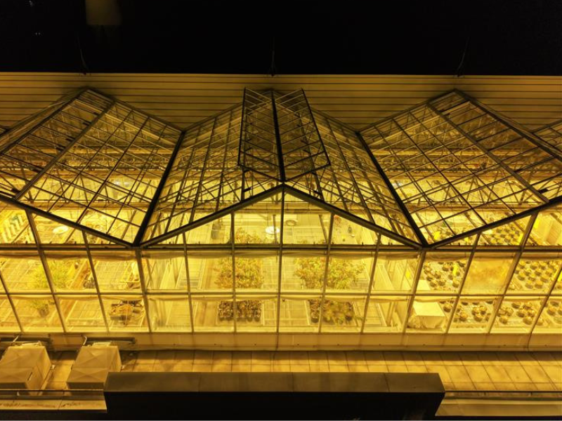 Drone photo of the Phytotron