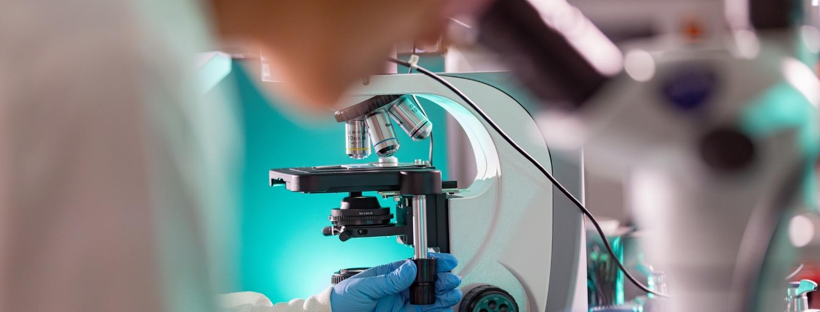 Researchers looking through microscopes