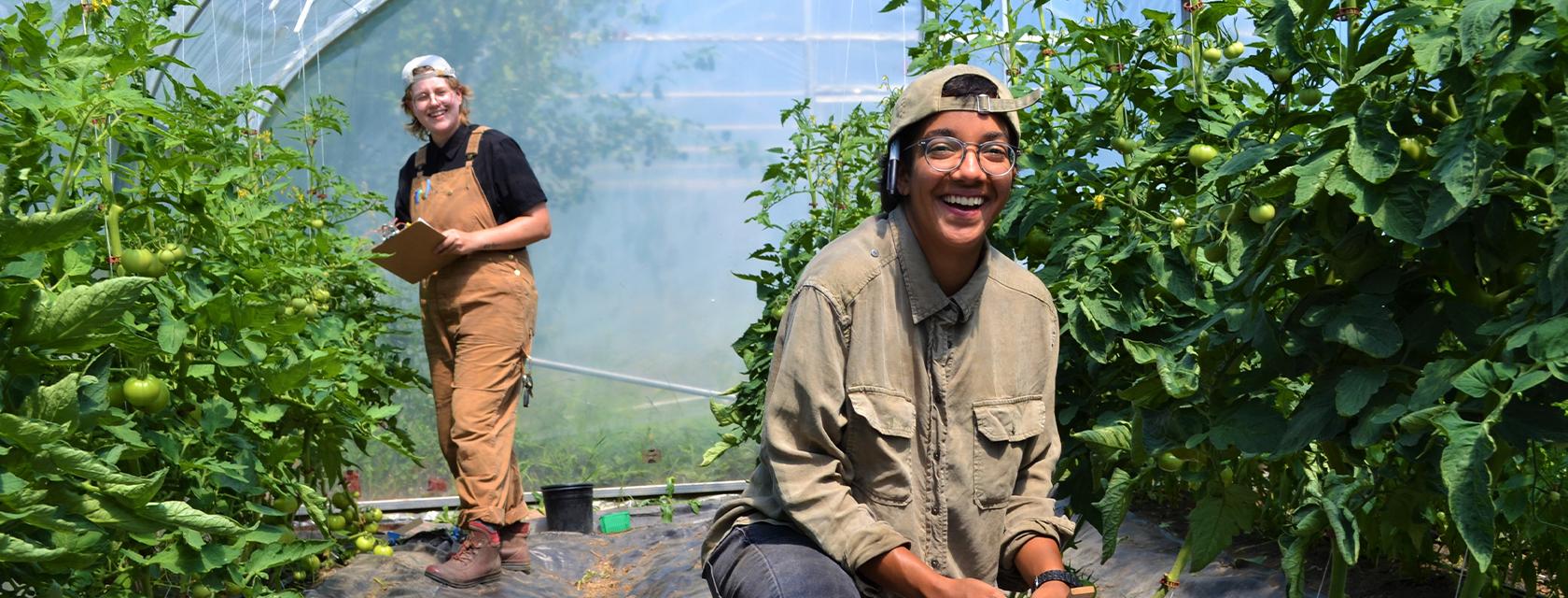 Two students are working in a greenhouse. The student in the foreground is crouching beside some plants, and the student in the background is standing while taking notes on a clipboard.