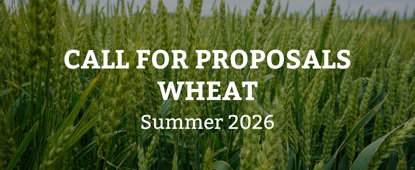 Wheat field with the text, "Call for Proposals Wheat Summer 2026"